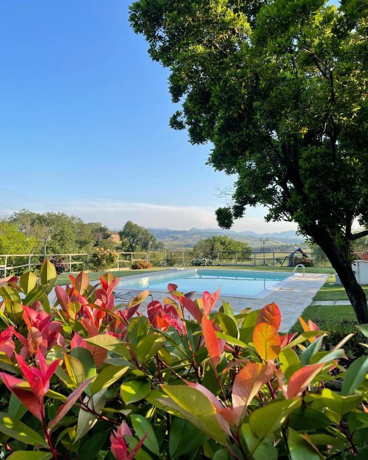 Montenovo Country House Ostra Vetere 外观 照片
