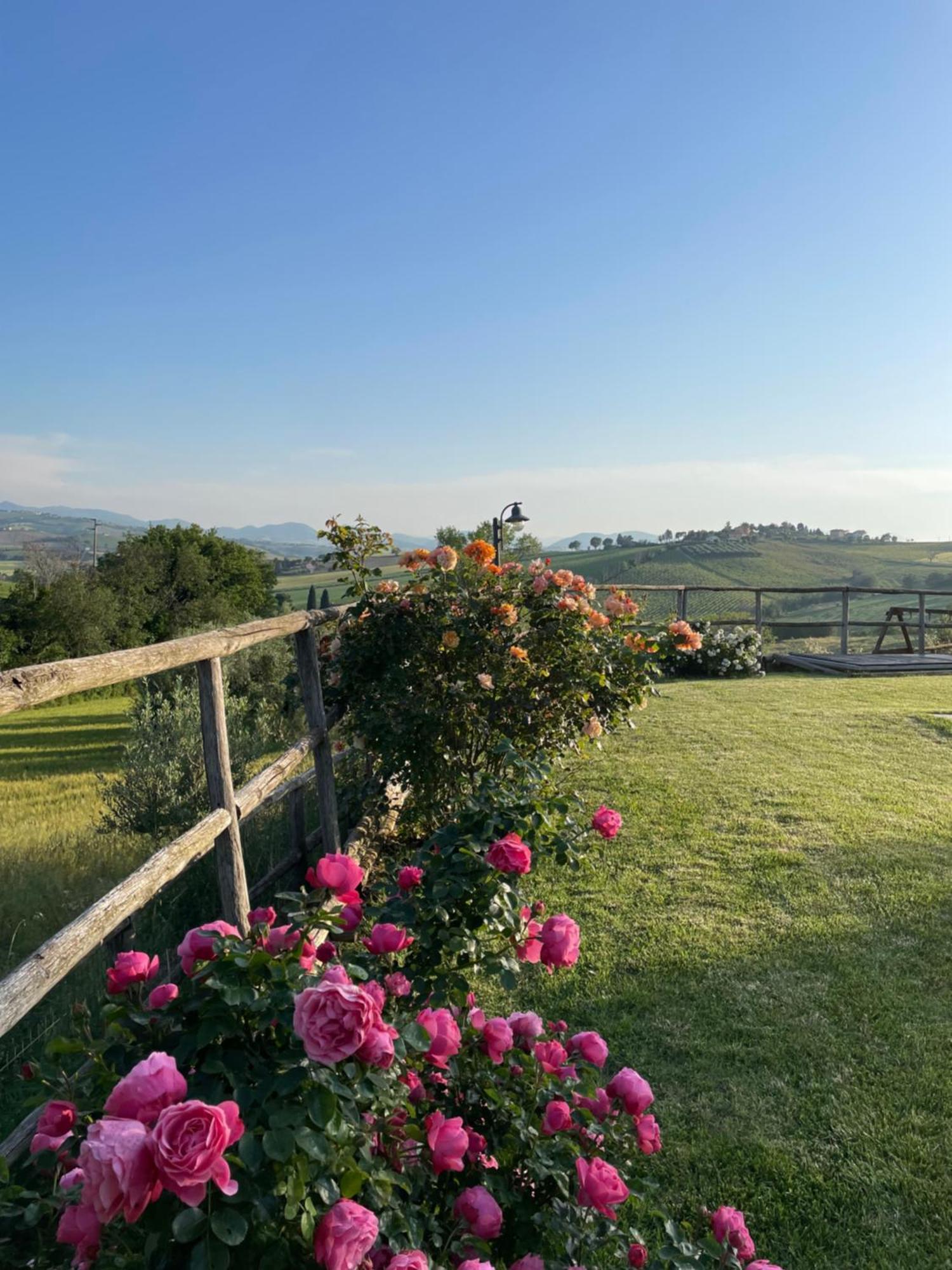 Montenovo Country House Ostra Vetere 外观 照片
