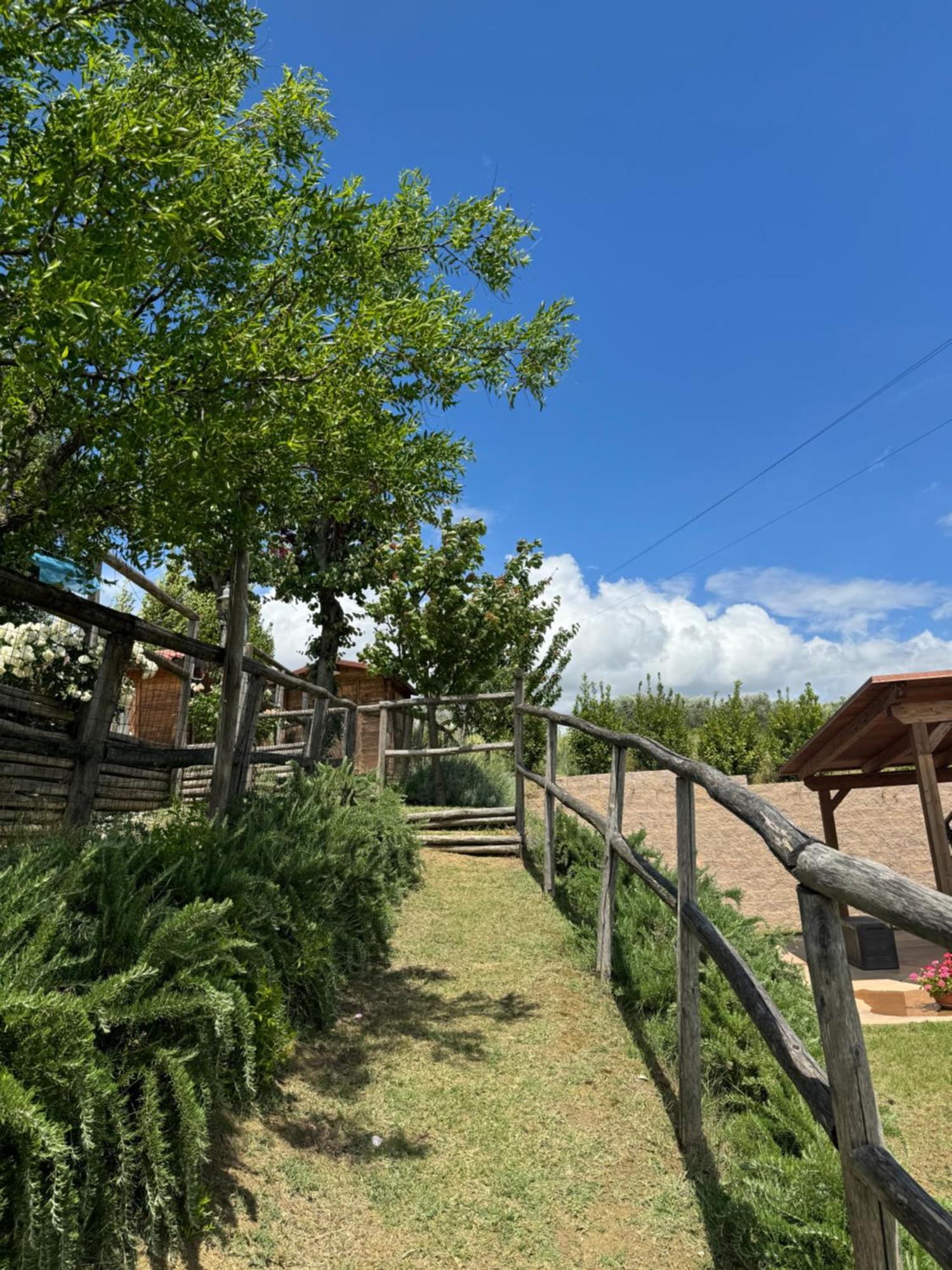 Montenovo Country House Ostra Vetere 外观 照片