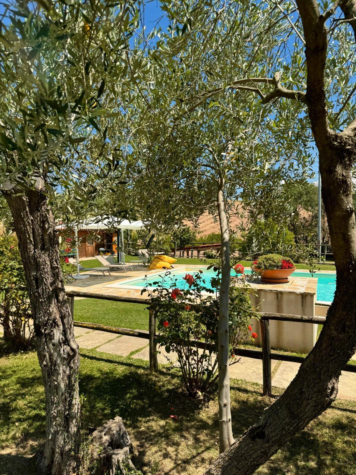 Montenovo Country House Ostra Vetere 外观 照片
