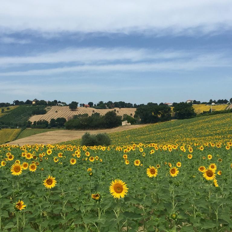 Montenovo Country House Ostra Vetere 外观 照片